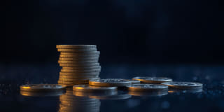 Openness and honesty built into the Dromastel Invest trading platform